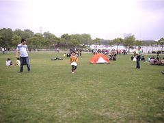 -昆山城市生态森林公园