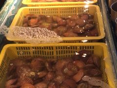 -星伦多自助料理(花山金鹰店)