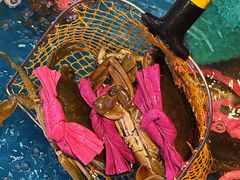 -东江海鲜大排档·潮汕菜·砂锅粥