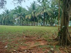 -白沙门生态公园