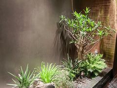 -青螺餐厅·家宴(松雅湖店)