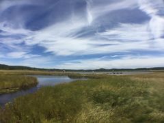 景点-塞罕坝国家级自然保护区