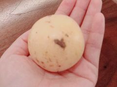 -嘉定凯悦·咖啡厅