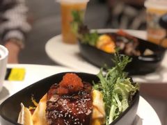 -猫儿山۰猫主题餐厅