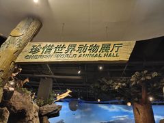 -陕西自然博物馆