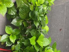 -阿伟海鲜楼·福建菜(涵江店)