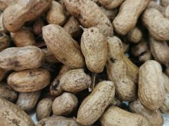 -烧哥美蛙肥肠鱼火锅·十五年社区店
