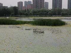-仙女湖公园