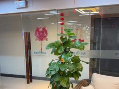 -肩颈管家·肩颈调理·经络养生(华景新城店)