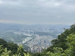 -梧桐山风景名胜区