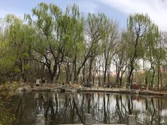 -玲珑塔公园