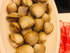 文蛤-赤山海景丽呈酒店