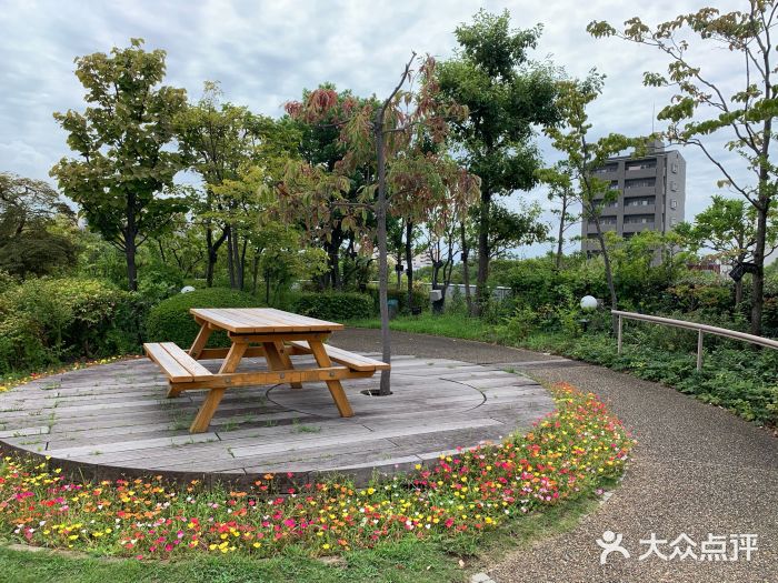 大阪市立自然史博物馆图片