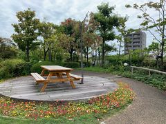 -大阪市立自然史博物馆