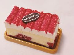 -哈根达斯(深圳海岸城店)