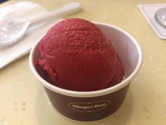 覆盆子-哈根达斯(国瑞店)
