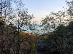 -石老人观光园