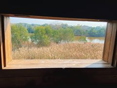 -华侨城湿地公园