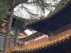 -中国观音故里广德景区