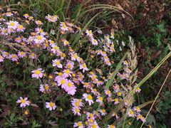 景点-白草畔自然风景区