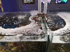 -蟹之国·精品蟹料理(极地店)