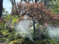-上海醉白池公园