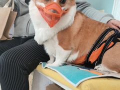 -纳吉亚猫专科动物医院·北北分院