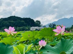 -古田会议纪念馆