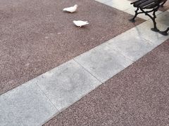 -长顺参鸡汤店(西塔总店)