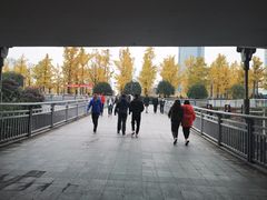 -百林公园-两江幸福广场