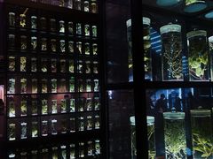 -广东中医药博物馆