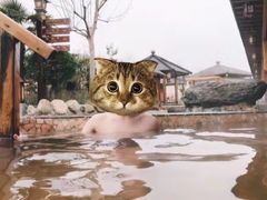 -华山御温泉度假村