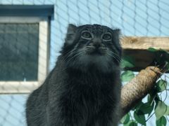 -青藏高原野生动物园