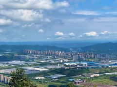 -铁山坪森林公园