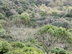 -杭州半山国家森林公园