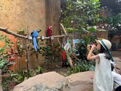 -杭州开元森泊度假乐园