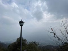 -缙云山景区