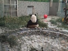 -西安秦岭野生动物园