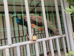 -洪湖家庭农场·团建·露营·会议