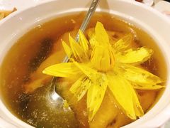 圆苑特色土鸡汤-圆苑(上海广场店)