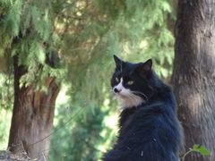 -北京西山国家森林公园