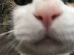 -UNI UNI(环亚凯瑟琳店)