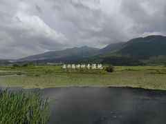 -腾冲北海湿地
