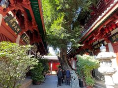 -叩齿古寺