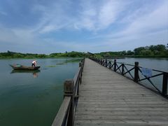 -溱湖国家湿地公园