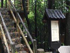 -天门沟九州驿站树上汤泉