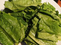 -千岛蚝高压锅生蚝·人参火锅(白云万达店)