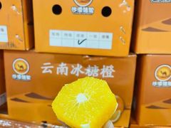 -沈阳市八家子水果批发市场
