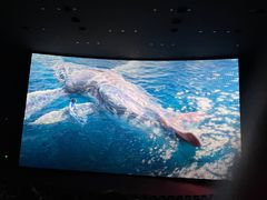 -悦江新远影城IMAX