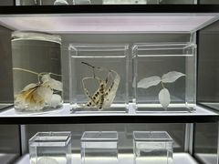 -上海当代艺术博物馆